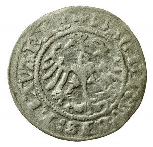 Sigismund I. der Alte, Halber Pfennig 1513, Vilnius - volles Datum (566)