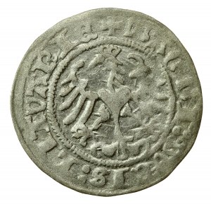 Zikmund I. Starý, půlpenny 1513, Vilnius - úplné datum (566)