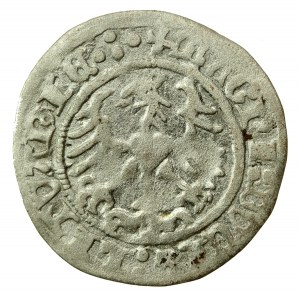 Sigismund I. der Alte, Halber Pfennig 1516, Vilnius (567)