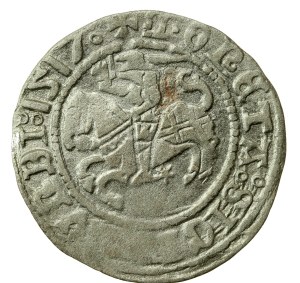 Sigismund I. der Alte, Halber Pfennig 1517, Vilnius (569)