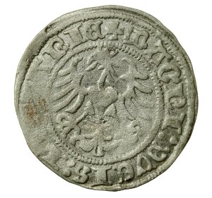 Sigismund I. der Alte, Halber Pfennig 1517, Vilnius (569)