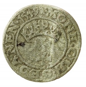 Sigismund II Augustus, Shelrogue 1549, Gdansk - rare (576)