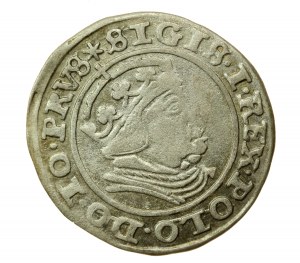 Sigismondo I il Vecchio, centesimo 1540, Danzica - PRVS (582)