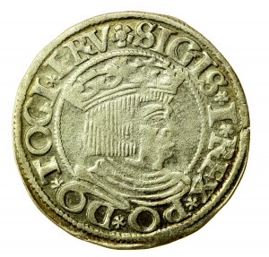 Zikmund I. Starý, penny 1534, Gdaňsk - PRV (583)