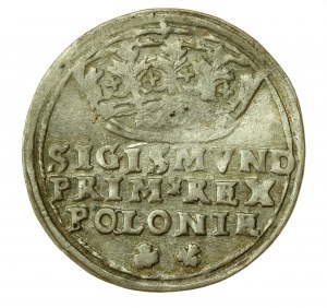 Zikmund I. Starý, penny 1545, Krakov (585)