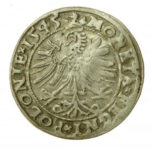 Sigismund I. der Alte, Pfennig 1545, Krakau (585)