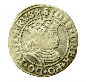 Sigismund I the Old, penny 1531, Toruń PRVS/PRVSS (587)