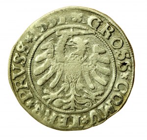 Sigismund I the Old, penny 1531, Toruń PRVS/PRVSS (587)