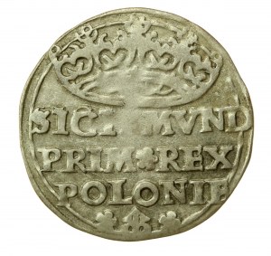 Sigismund I. der Alte, Pfennig 1529, Krakau (588)