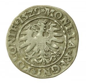 Sigismund I. der Alte, Pfennig 1529, Krakau (588)