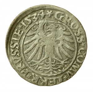 Sigismund I. der Alte, Pfennig 1534, Toruń - PRVSSIE/PRVSSIE (589)