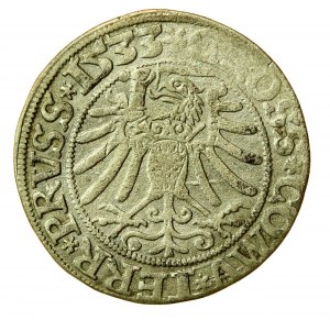Sigismond Ier le Vieux, centime 1533, Toruń - PRVSS/PRVSS (590)