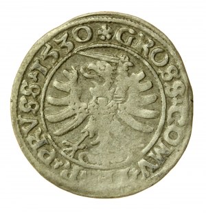 Sigismund I the Old, penny 1530, Toruń PRVS/PRVSS (591)