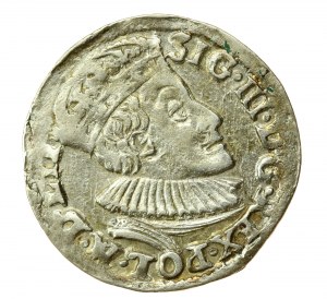 Sigismond III Vasa, trojak 1590, Olkusz - Przegonia (593)