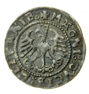 Sigismond Ier le Vieux, demi-penny 1528, Vilnius. Rare (609)