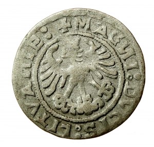 Sigismund I. der Alte, halber Pfennig 1519, Vilnius - umgekehrtes N (611)