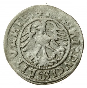 Sigismond Ier l'Ancien, demi-penny 1519, Vilnius - N et D inversés. Rare (612)