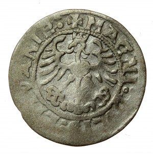 Sigismondo I il Vecchio, mezzo penny 1519, Vilnius - N e D rovesciate. Raro (614)