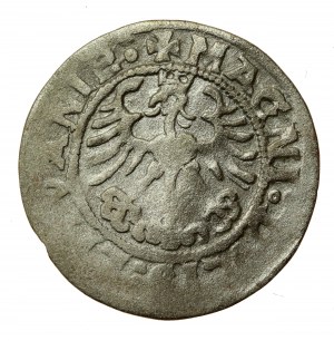 Sigismond Ier l'Ancien, demi-penny 1519, Vilnius - N et D inversés. Rare (614)
