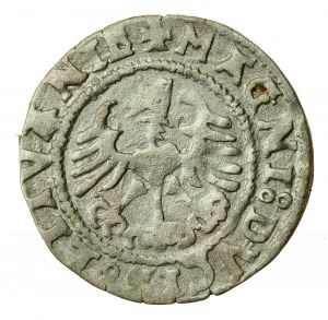 Sigismondo I il Vecchio, mezzo penny 1527, Vilnius (615)