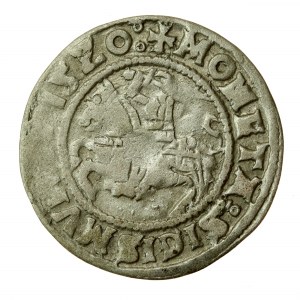 Sigismondo I il Vecchio, mezzo penny 1520, Vilnius - N rovesciata (616)