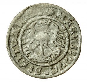 Sigismund I the Old, half-penny 1520, Vilnius - reversed N (616)