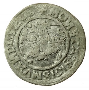 Sigismond Ier l'Ancien, demi-penny 1520, Vilnius, SIGISMVANDI - inversé N (617)