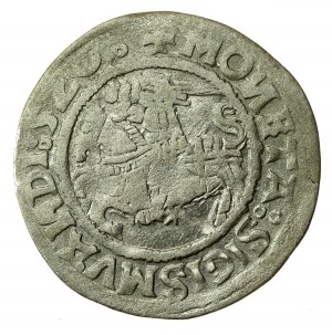 Sigismund I the Old, half-penny 1520, Vilnius, SIGISMVANDI - reversed N (617)