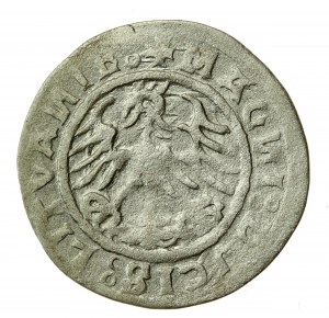 Sigismond Ier l'Ancien, demi-penny 1520, Vilnius, SIGISMVANDI - inversé N (617)