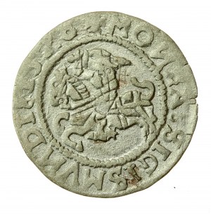 Sigismondo I il Vecchio, mezzo penny 1520, Vilnius, MONEA - invertito N (618)