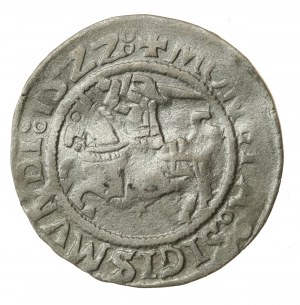 Sigismund I. der Alte, Halber Pfennig 1522, Vilnius (619)