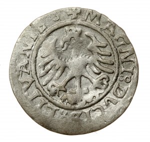 Sigismund I. der Alte, Halber Pfennig 1522, Vilnius (619)