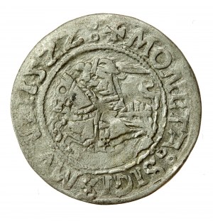 Sigismondo I il Vecchio, mezzo penny 1522, Vilnius (620)