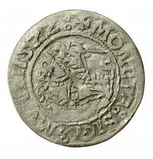 Sigismund I the Old, Half-penny 1522, Vilnius (620)