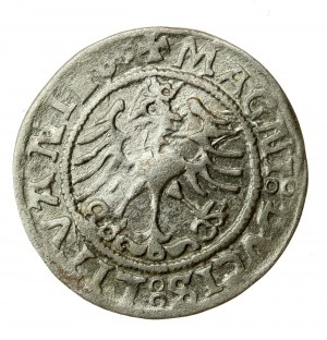 Sigismond Ier le Vieux, demi-penny 1522, Vilnius (620)