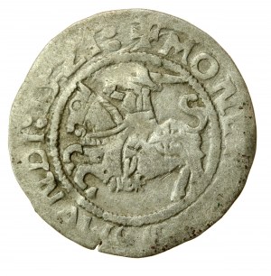 Sigismondo I il Vecchio, mezzo penny 1521, Vilnius (621)