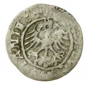 Sigismondo I il Vecchio, mezzo penny 1521, Vilnius (621)