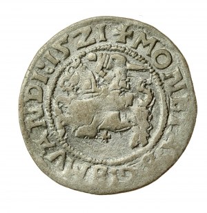 Sigismond Ier le Vieux, demi-penny 1521, Vilnius (622)