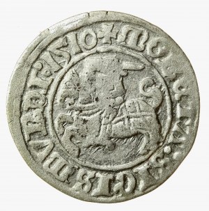 Sigismund I. der Alte, Halber Pfennig 1510, Vilnius (635)