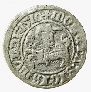 Sigismond Ier le Vieux, demi-penny 1510, Vilnius (635)