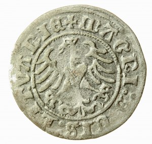 Sigismondo I il Vecchio, mezzo penny 1510, Vilnius (635)