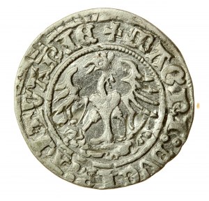 Zikmund I. Starý, půlpenny 1511, Vilnius (636)