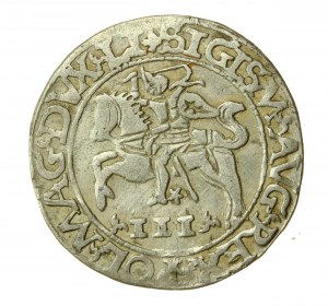 Zygmunt II August, Trojak szyderczy 1565, Tykocin (645)