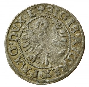 Sigismondo II Augusto, mezzo penny 1546, Vilnius (701)