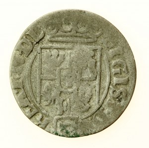 Sigismund III. Wasa, Halbspur 1626, Bromberg (Bydgoszcz). Selten (702)