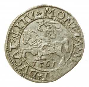Sigismund II Augustus, Half-penny 1561, Vilnius - LI/LITV (705)