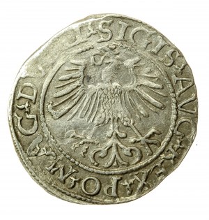 Žigmund II August, polgroš 1561, Vilnius - LI/LITV (705)