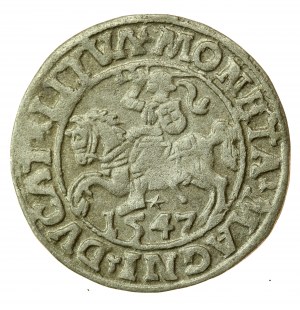 Žigmund II August, polgroš 1547, Vilnius - LI/LITVA (709)