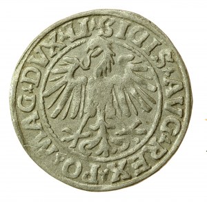 Sigismund II Augustus, Half-penny 1547, Vilnius - LI/LITVA. Rarer (709)