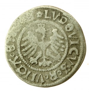 Slesia, Ludovico Jagellone, mezzo penny 1518, Świdnica (710)